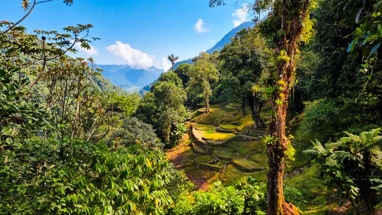 Ciudad perdida-2