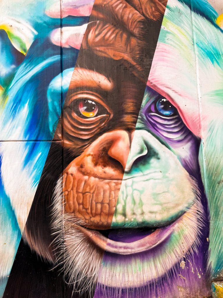 Groß (Grafitti Affe)